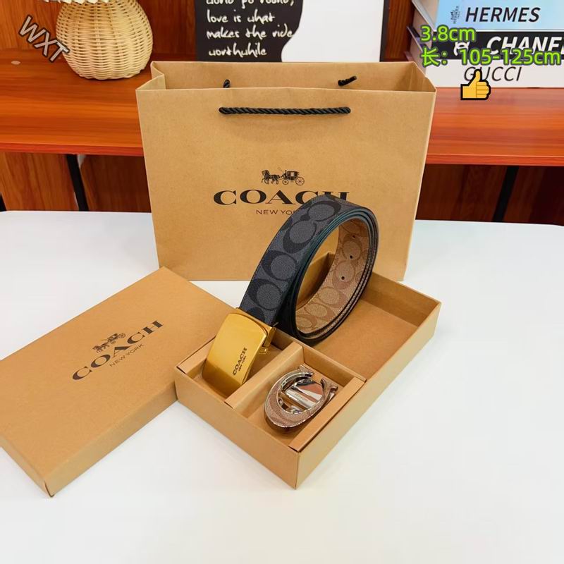 Coach belt 38mmX105-125cm 8L30